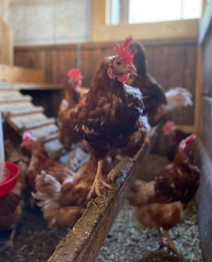Ferienwohnung Winnebachhof Dış mekan fotoğraf